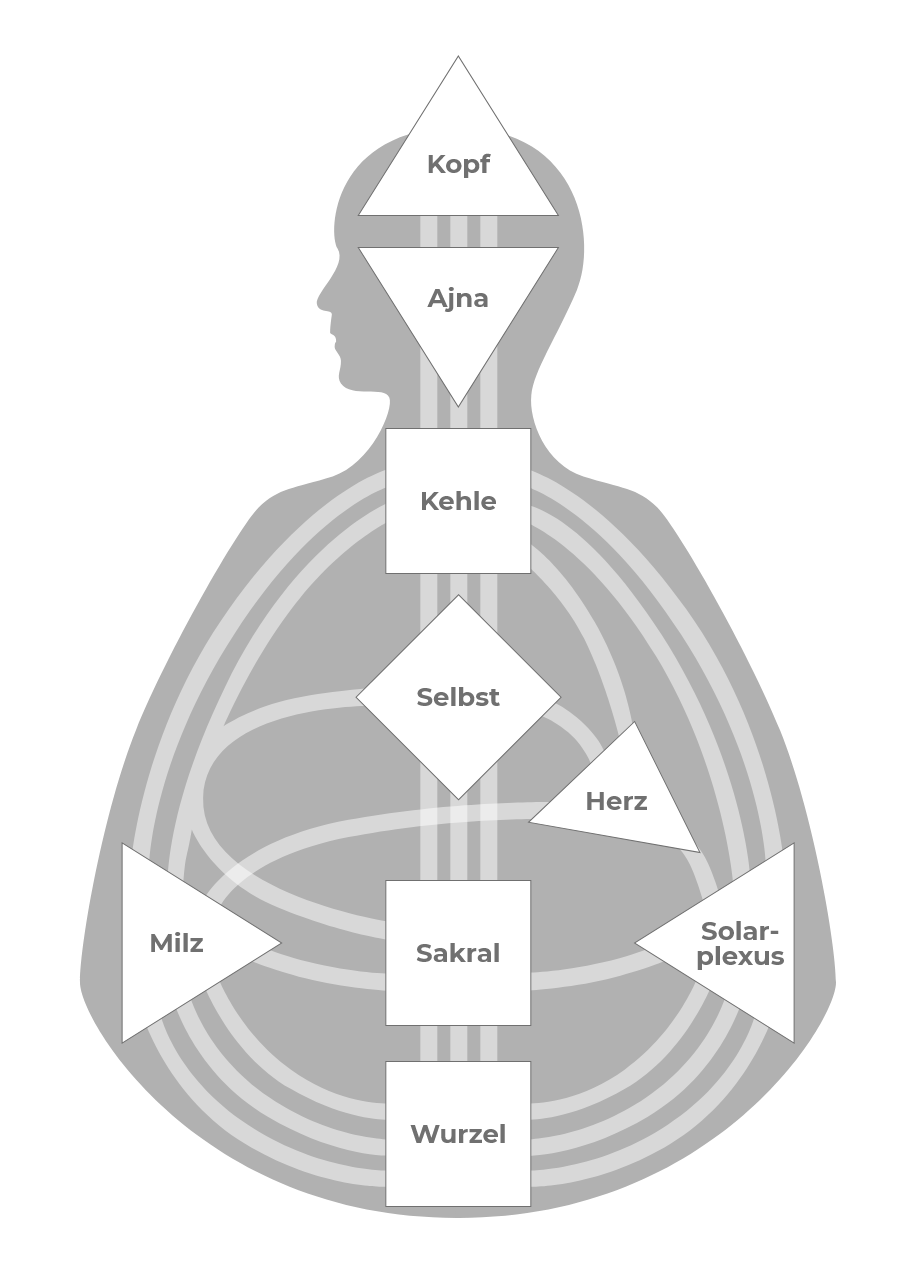 Bodygraph – Human Design Chart Zentren